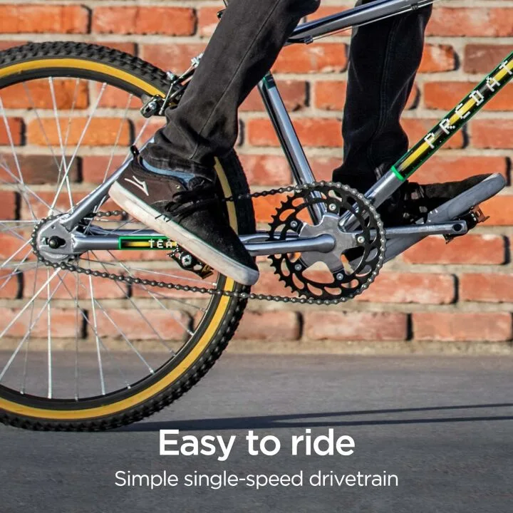 Schwinn Sting Pro BMX Bike for Kids in Retro Design