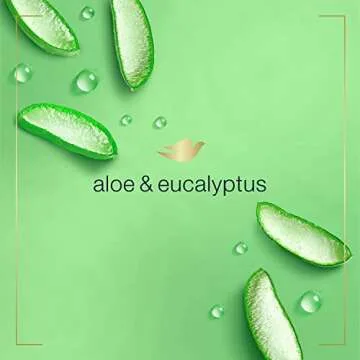 Dove Foaming Hand Wash Aloe & Eucalyptus 4 Count
