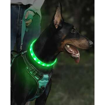 Joytale Light Up Dog Collars, Cuttable Rainproof LED, 9 Flashing Modes, Soft Silicone Glow Collar for Dogs Night Safety, Lightweight USB Rechargeable Collar for Large Medium Small Dogs
