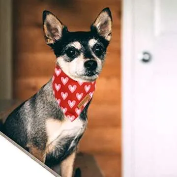 Realeaf Love Dog Bandanas - Stylish Holiday Accessory
