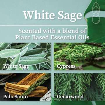 Hemlock Park Apothecary Candle Trio | Gift Set of Three 4 oz Candles Made with Natural Coconut Wax (Ritual | White Sage, Palo Santo, Frankincense)