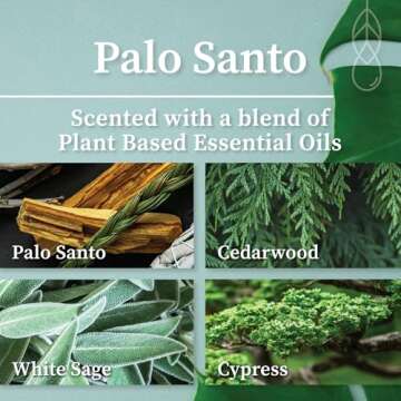 Hemlock Park Apothecary Candle Trio | Gift Set of Three 4 oz Candles Made with Natural Coconut Wax (Ritual | White Sage, Palo Santo, Frankincense)