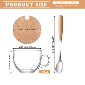 DONYU 16OZ Glass Coffee Mug Set with Lids & Spoon