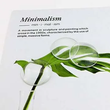 Faxco Transparent Glass Cabochons - 30 Pieces for Crafting