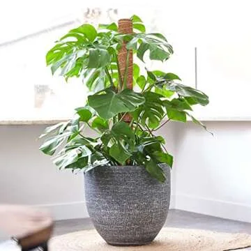 GROWNEER 24 Inch Moss Pole for Plants Indoor, 2 Pcs 15 Inch Stackable Coir Totem Monstera Support, Moss Sticks with 15pcs Labels and 78in Garden Ties, Stake for Climbing Snake Plants Indoor