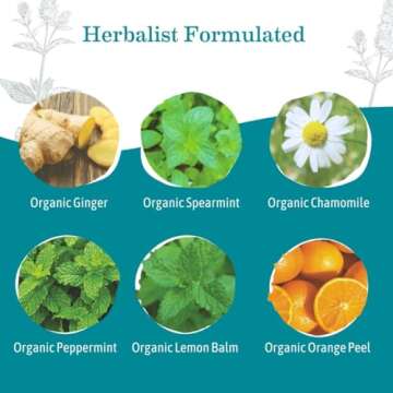 Earth Mama Organic Ginger Nausea Tea for Morning Comfort