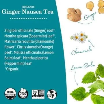 Earth Mama Organic Ginger Nausea Tea for Morning Comfort