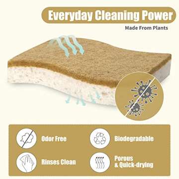 Foamstar Natural Sponges-10 Pack, Eco Friendly Non-Scratch Scrub Sponge for Kitchen, Biodegradable Plant Based Scrubber Sponges for Cleaning Dishes, Odor Free