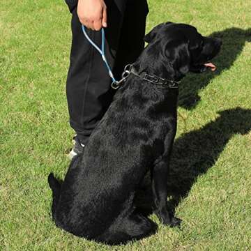 Durable 5FT Chew Proof Dog Leash for Active Dogs