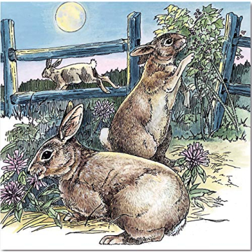 A Walk in the Woods Nature Coloring Book by Dot Barlowe