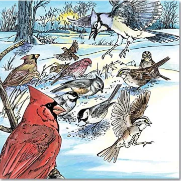 A Walk in the Woods Nature Coloring Book by Dot Barlowe