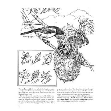 A Walk in the Woods Nature Coloring Book by Dot Barlowe