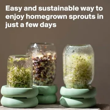 Food Huggers Silicone Sprout Lids for Easy Home Gardening