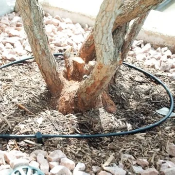 DIG ML-106, 100', ¼” MICROLINE Dripline - 6” Spacing, Color Black – UV Protected Drip Line