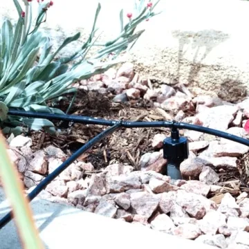 DIG ML-106, 100', ¼” MICROLINE Dripline - 6” Spacing, Color Black – UV Protected Drip Line