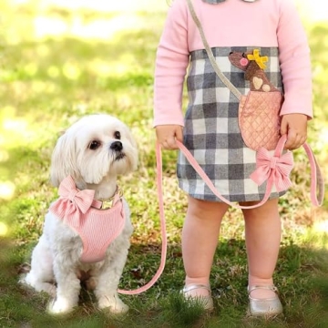 Didog Cute Small Dog Harness Collar & Leash Set Pink