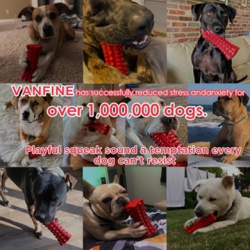 VANFINE Indestructible Squeaky Toy for Large Dogs