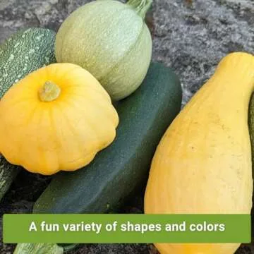 Sow Right Seeds - Squash Seed Collection for Planting - Individual Packets Straightneck Summer, Yellow Scallop, Round Zucchini, Waltham Butternut and Spaghetti Squash, Non-GMO Heirloom Seeds