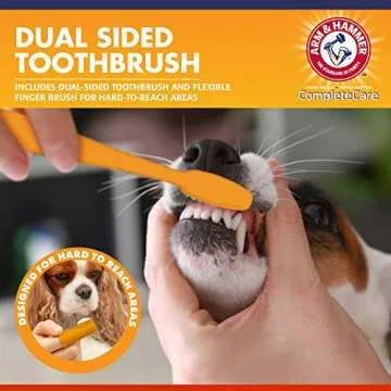 Arm & Hammer Dog Dental Kit with Chicken Toothpaste