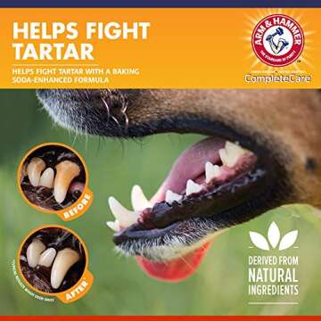 Arm & Hammer Dog Dental Kit with Chicken Toothpaste