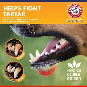 Arm & Hammer Dog Dental Kit with Chicken Toothpaste