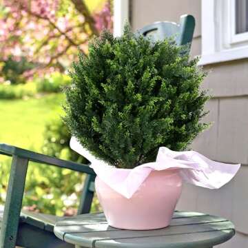 Keepinno 21''T Artificial Cedar Topiary Ball Tree 2 Pack, Outdoors Artificial Shrubs Fake Plants Uv Rated Potted Plants for Outdoor, Indoor, Front Door, Office Decor.