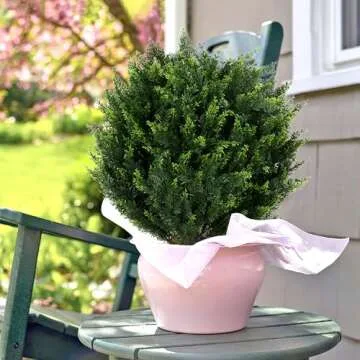 Keepinno 21''T Artificial Cedar Topiary Ball Tree 2 Pack, Outdoors Artificial Shrubs Fake Plants Uv Rated Potted Plants for Outdoor, Indoor, Front Door, Office Decor.