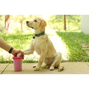 Dexas Pink Medium Dog Paw Cleaner, MudBuster - Premium Quality Pet Supplies and Dog Accessories for Dogs, Easy to Use, Mess Free, BPA Free, Patented Product