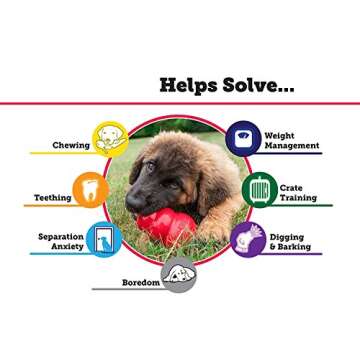 KONG 2 Pack Large Classic