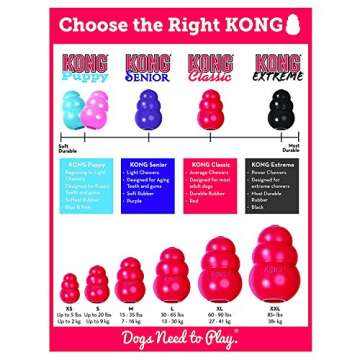 KONG 2 Pack Large Classic