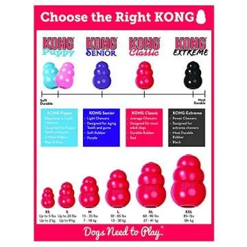 KONG 2 Pack Large Classic