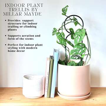 Stylish Indoor Plant Trellis Set for Philodendron & Vines