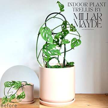 Stylish Indoor Plant Trellis Set for Philodendron & Vines