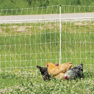 Premier 1 Electric Fence for Chickens and Livestock