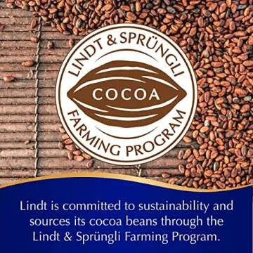 Lindt LINDOR Dark Chocolate Candy Truffles, Dark Chocolate with Smooth, Melting Truffle Center, 5.1 oz. Bag
