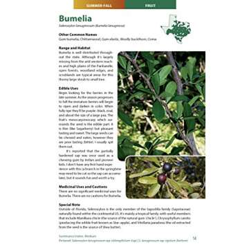 Wild Edible Plants of Texas: A Pocket Guide to the Identification, Collection, Preparation, and Use of 60 Wild Plants of the Lone Star State