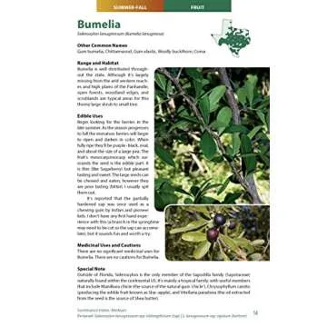 Wild Edible Plants of Texas: A Pocket Guide to the Identification, Collection, Preparation, and Use of 60 Wild Plants of the Lone Star State