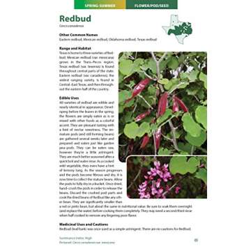 Wild Edible Plants of Texas: A Pocket Guide to the Identification, Collection, Preparation, and Use of 60 Wild Plants of the Lone Star State