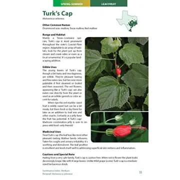 Wild Edible Plants of Texas: A Pocket Guide to the Identification, Collection, Preparation, and Use of 60 Wild Plants of the Lone Star State
