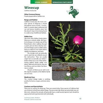 Wild Edible Plants of Texas: A Pocket Guide to the Identification, Collection, Preparation, and Use of 60 Wild Plants of the Lone Star State