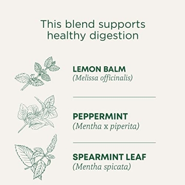 Traditional Medicinals Organic Triple Mint Tea for Digestion