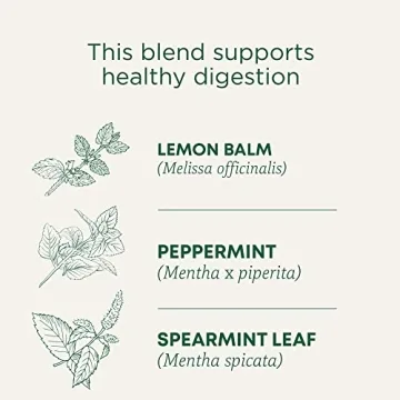 Traditional Medicinals Organic Triple Mint Tea for Digestion