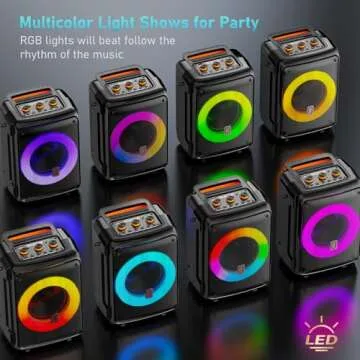 HWWR Karaoke Machine with Dual Mics and DJ Lights