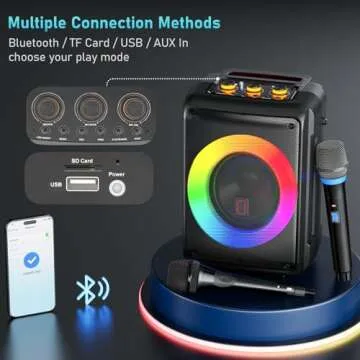 HWWR Karaoke Machine with Dual Mics and DJ Lights