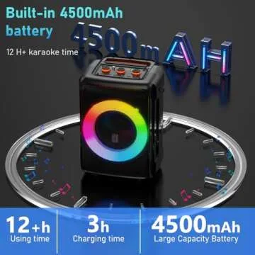 HWWR Karaoke Machine with Dual Mics and DJ Lights