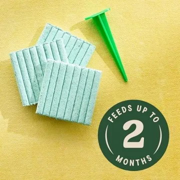 Miracle-Gro Indoor Plant Food Spikes - Nutrient-Rich Spikes for Houseplants and Herbs, 48 Count