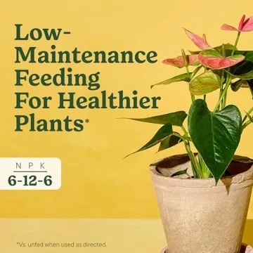 Miracle-Gro Indoor Plant Food Spikes for Healthy Plants