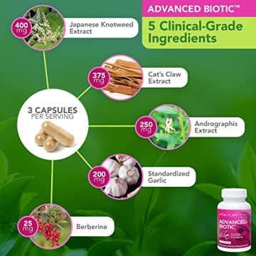 Vital Plan Immune Support by Dr. Rawls - Natural Boost