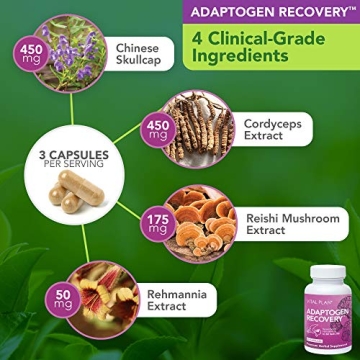 Vital Plan Immune Support by Dr. Rawls - Natural Boost