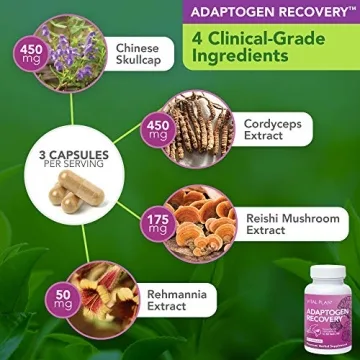 Vital Plan Immune Support by Dr. Rawls - Natural Boost